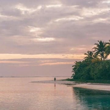 Ảnh đại diện Đức Anh